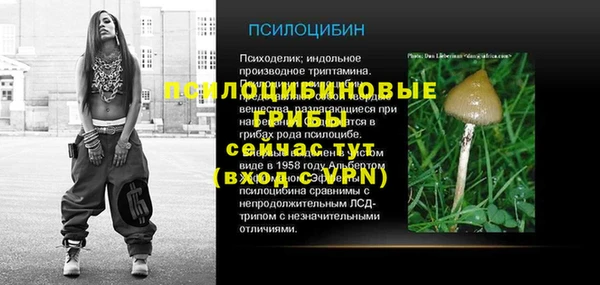 гидра Аркадак